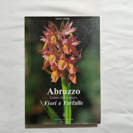 Nino Tieri   Abruzzo Fiori e Farfalle