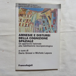 Amnesie e disturbi della cognizione spaziale a cura di Dario Grossi Michele Lepore