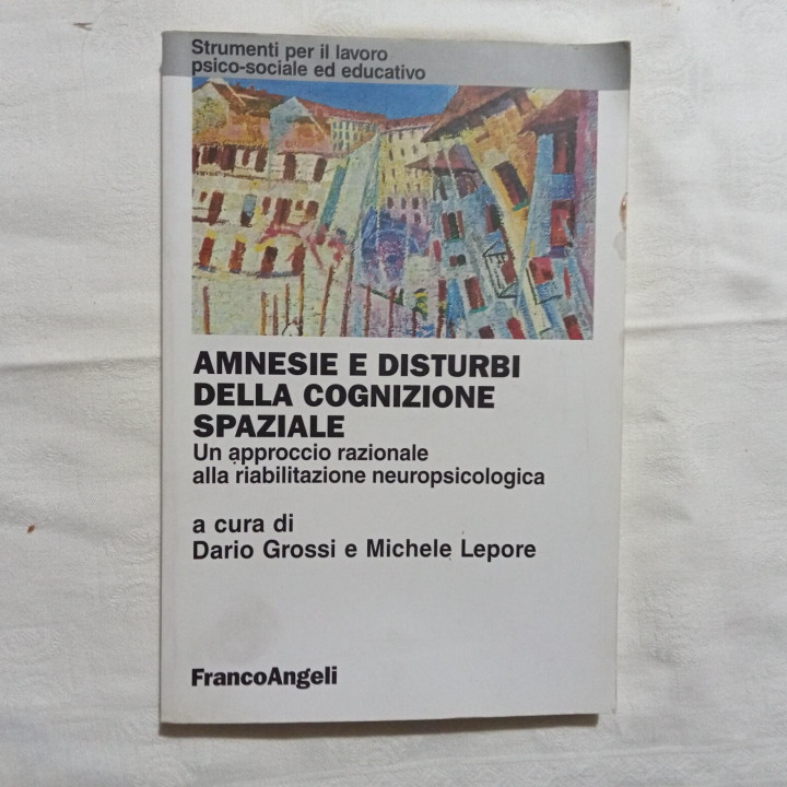 Amnesie e disturbi della cognizione spaziale a cura di Dario Grossi Michele Lepore