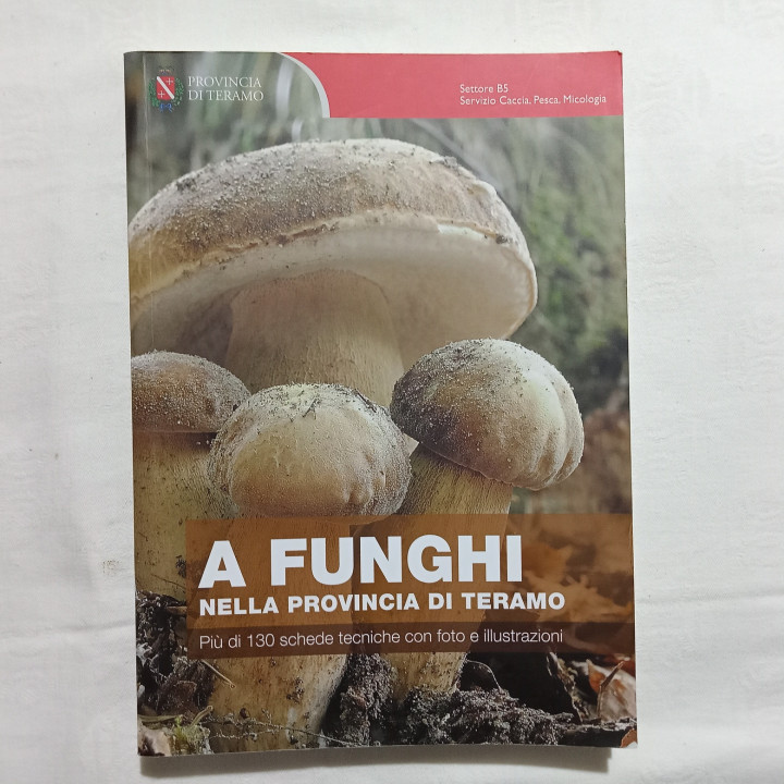 A funghi nella Provincia di Teramo a cura di Giovanni Castiglione