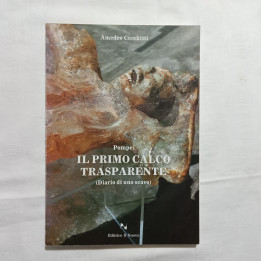 Amedeo Cicchitti Pompei il primo calco trasparente (Diario di uno scavo)