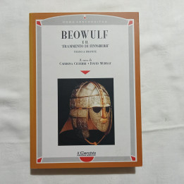 Beowulf e il frammento di Finnsburh  A cura di Caterina Ciuferri David Murray