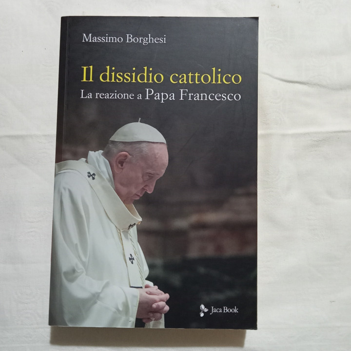 Massimo Borghesi Il dissidio cattolico La reazione a Papa Francesco