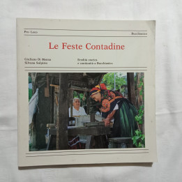 Bucchianico Le Feste Contadine Eredità storica e continuità a Bucchianico Giuliano Di Menna Silvana Sulpizio