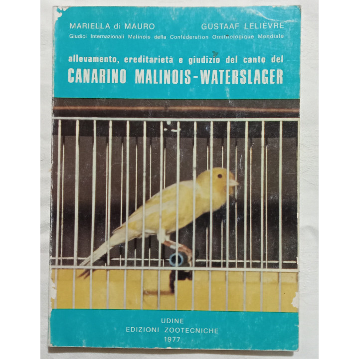 Mariella di Mauro Gustaaf Leliévre Allevamento,ereditarietà e giudizio del canto dei Canarino Malinois-Waterslager