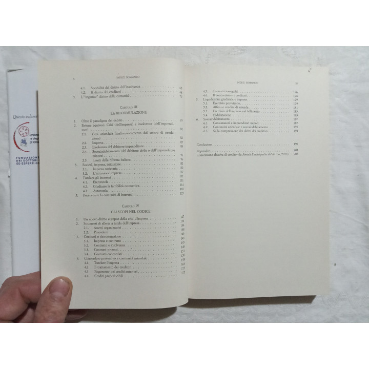 Fabrizio Di Marzio. Obbligazione, insolvenza, impresa