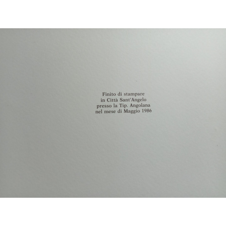 Antonio Bertillo Giampietro Pittarello. Cronaca di giorni duri. Città Sant’Angelo e la guerra 1943-1944