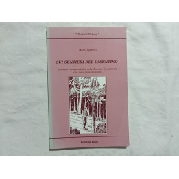 Mario Spinetti. Sui sentieri  del Casentino