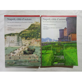 Napoli, città d’Autore. Un racconto letterario da Boccaccio  a Saviano II volumi
