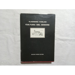 Vladimiro Furlani. Cultura del minore. Roccaspinalveti una ipotesi di lettura