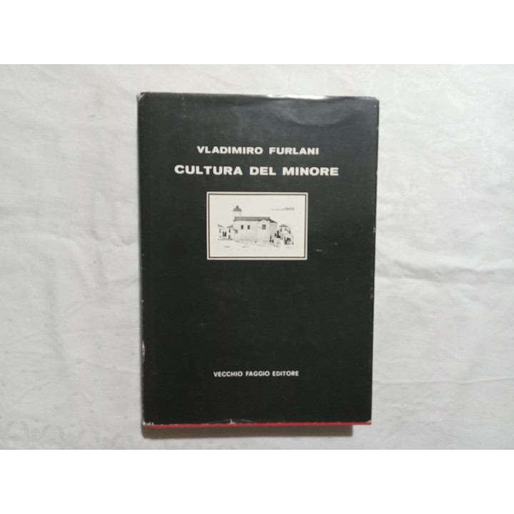 Vladimiro Furlani. Cultura del minore. Roccaspinalveti una ipotesi di lettura
