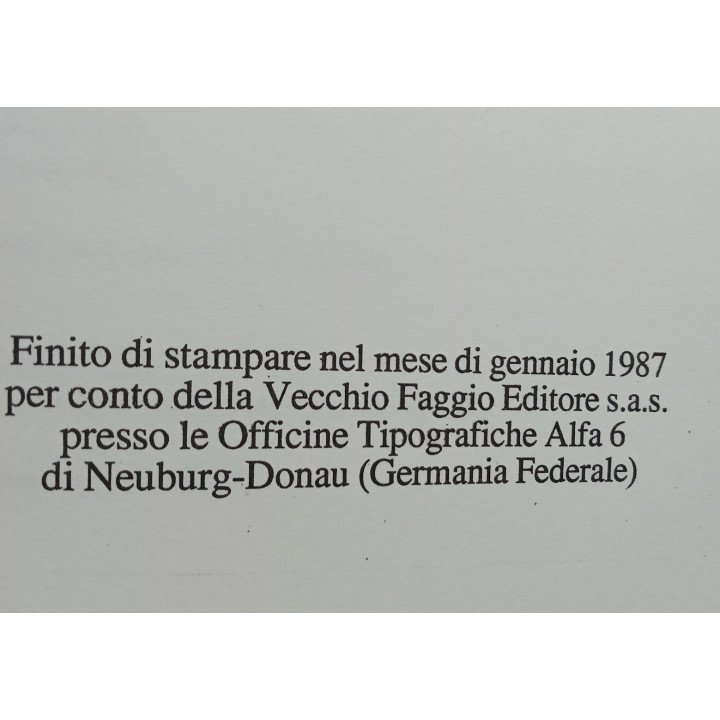 Vladimiro Furlani. Cultura del minore. Roccaspinalveti una ipotesi di lettura