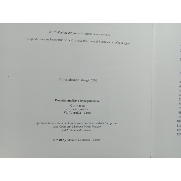 Cesario Besca. La verità nel pozzo. Cupello nel triennio 1960 – 1962