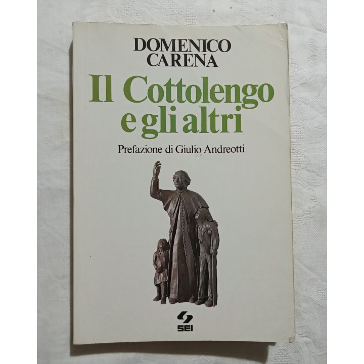 Domenico Carena. Il Cottolengo e gli altri. Prefazione di Giulio Andreotti