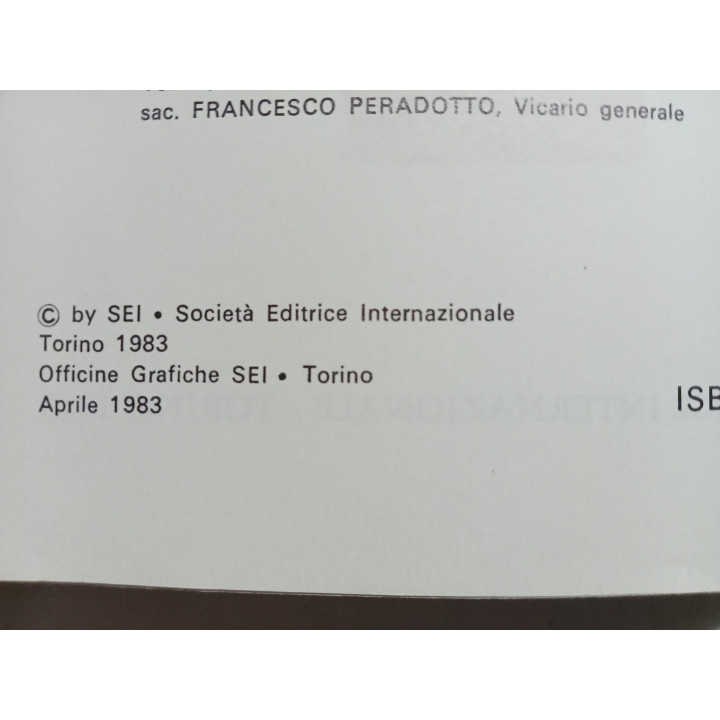 Domenico Carena. Il Cottolengo e gli altri. Prefazione di Giulio Andreotti