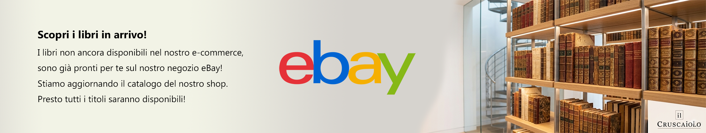 Il nostro negozio ebay.